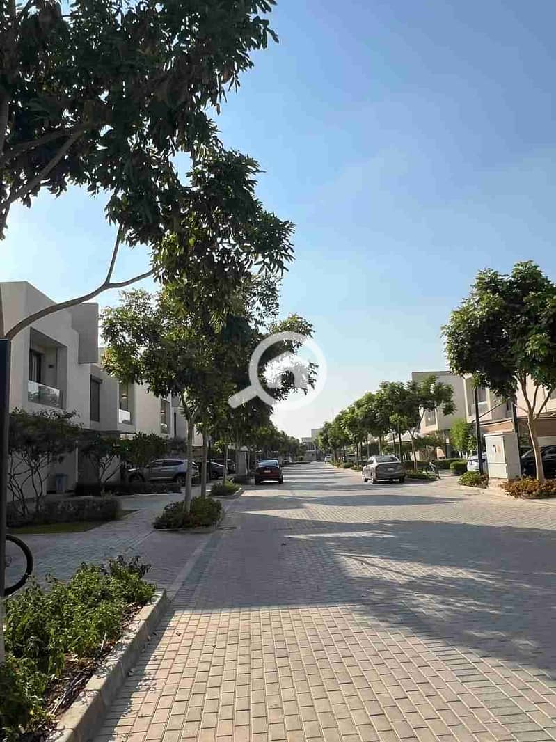 3 IMG_20251010_184524_471. jpg