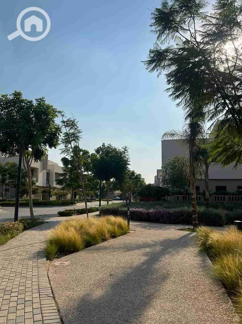 5 IMG_20251010_184524_678. jpg