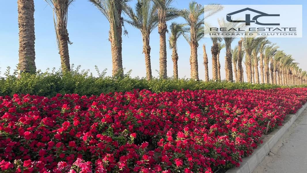 5 WhatsApp Image 2025-11-03 at 18.19. 14 (1). jpeg