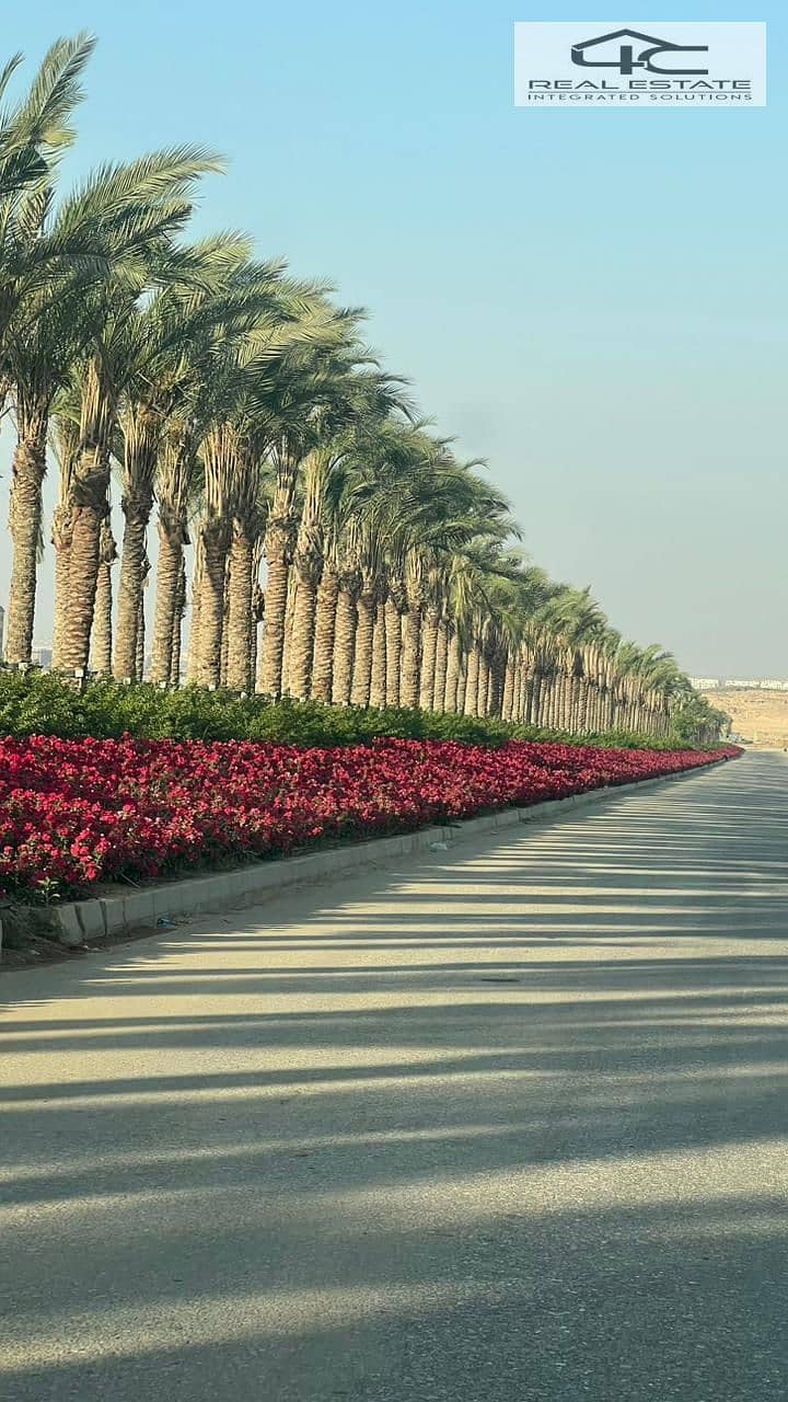 6 WhatsApp Image 2025-11-03 at 18.19. 14. jpeg