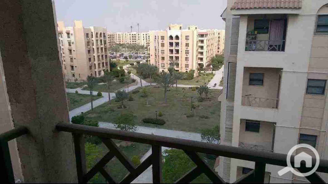 1000554809. jpg 1000554809. jpg