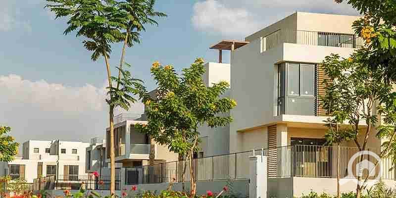 3 IMG-20221125-WA0008. jpg