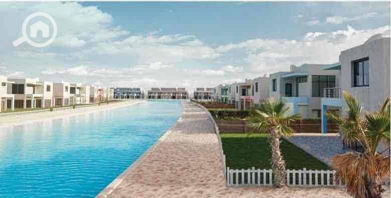 4 f30fb363-4752-4ed9-bebf-d9cacd812500. jpg