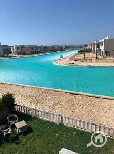 5 56db6c39-d843-4f60-bc2d-967c7008cdbe. jpg