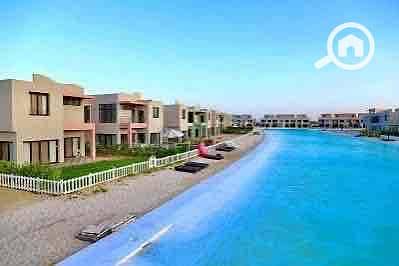 6 486e47c7-5801-4b05-bd2e-9380bd892f94. jpg