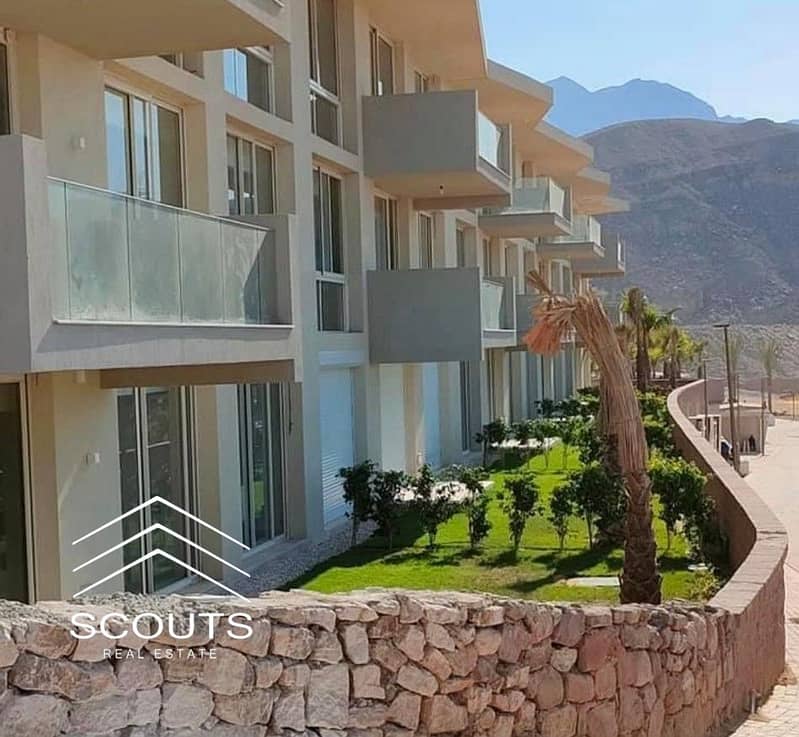 13 490803188_4042812202708739_2923458145274582953_n. jpg