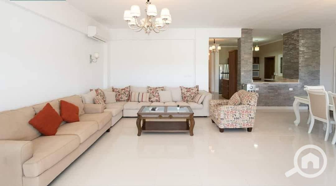 7 449363243_2489337991269262_345672838300648532_n. jpg