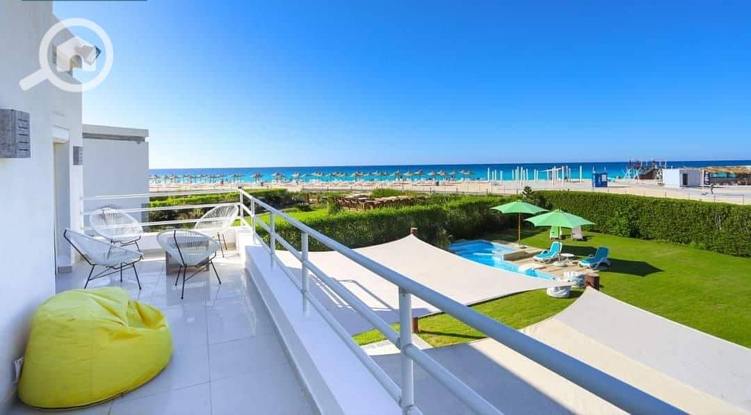 2 449210768_2489337881269273_8515584253062956751_n. jpg