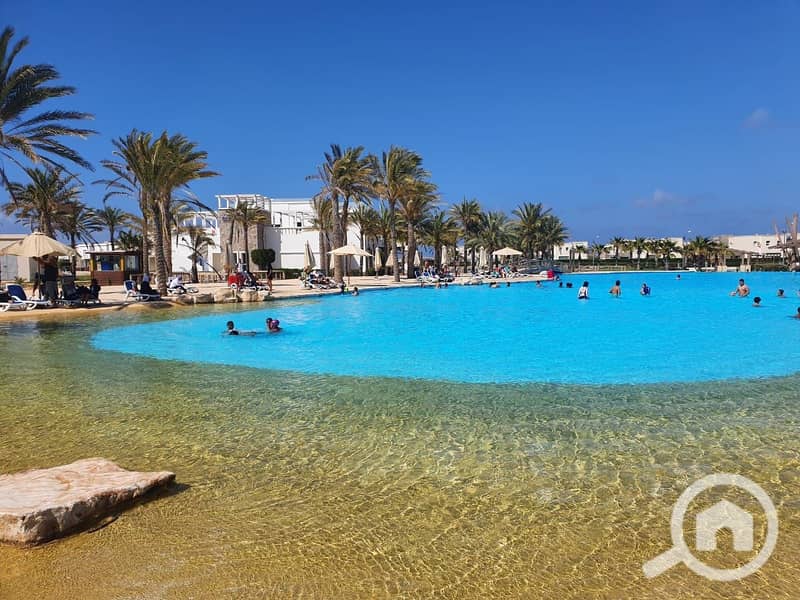 10 471913650_580527034592567_42267535475342313_n. jpg