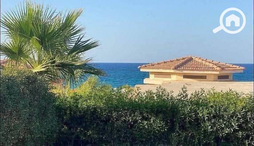 2 545742581_1653766305293547_7898693525315897953_n. jpg