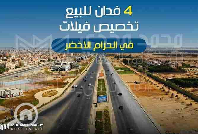 9 5538506-df732o. jpg