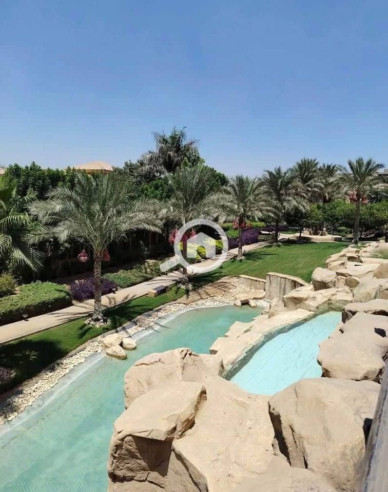 2 569301934_763817890022283_3132935567624741204_n. jpg