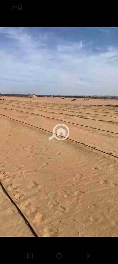 زراعي  للبيع في 6 أكتوبر، الجيزة - IMG-20251101-WA0034. jpg