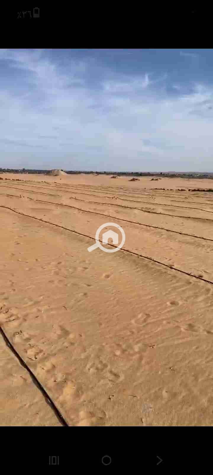 IMG-20251101-WA0034. jpg IMG-20251101-WA0034. jpg