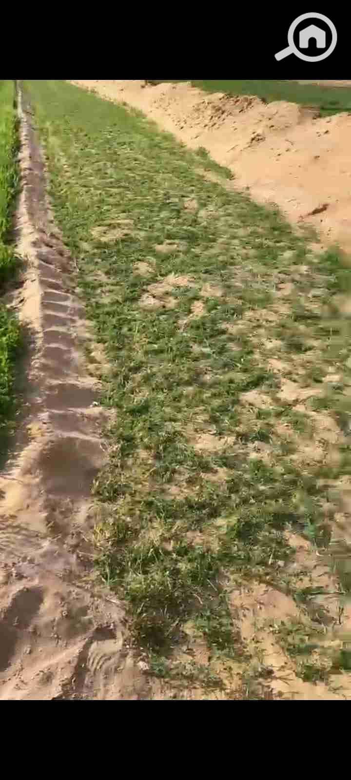 2 IMG-20251101-WA0035. jpg