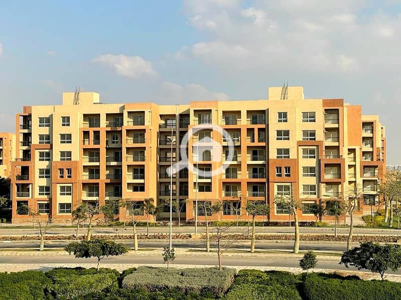 387014580_745441404262481_6915818437150730260_n. jpg