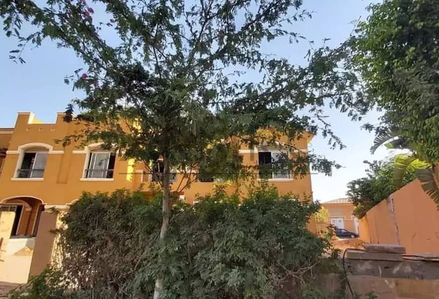 10 3383758-4ffaao. jpg