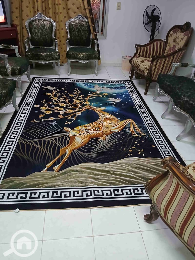 2 IMG_٢٠٢٥١١٠٢_١٤٤٨٤٤. jpg