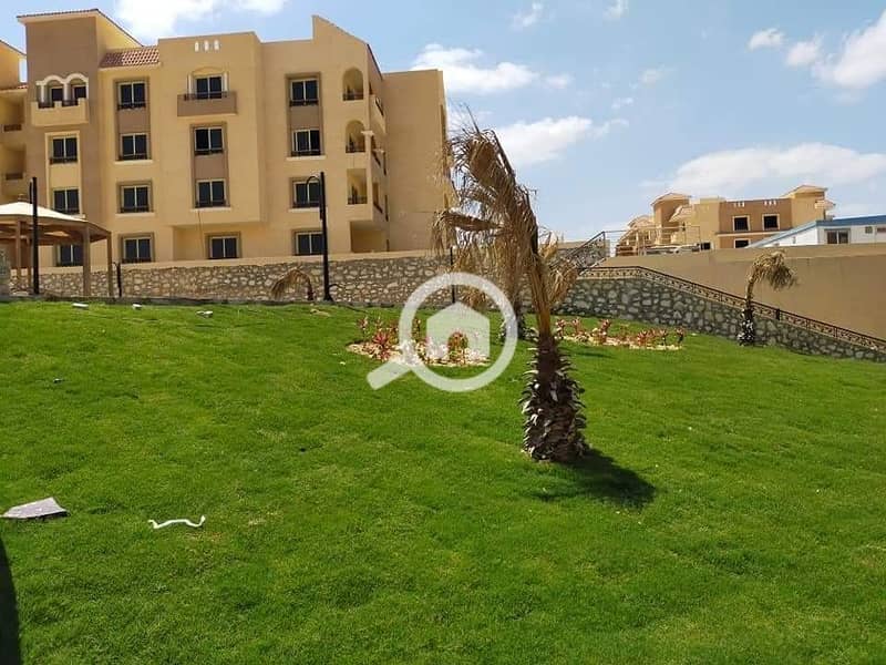 8 120917155_407604367307359_9199448766299861558_n. jpg