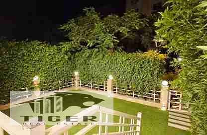 1000050579. webp 1000050579. webp