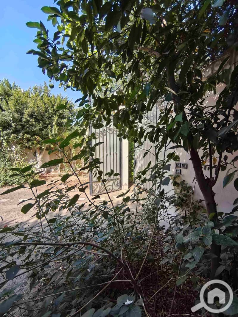 3 IMG_20251024_142937. jpg