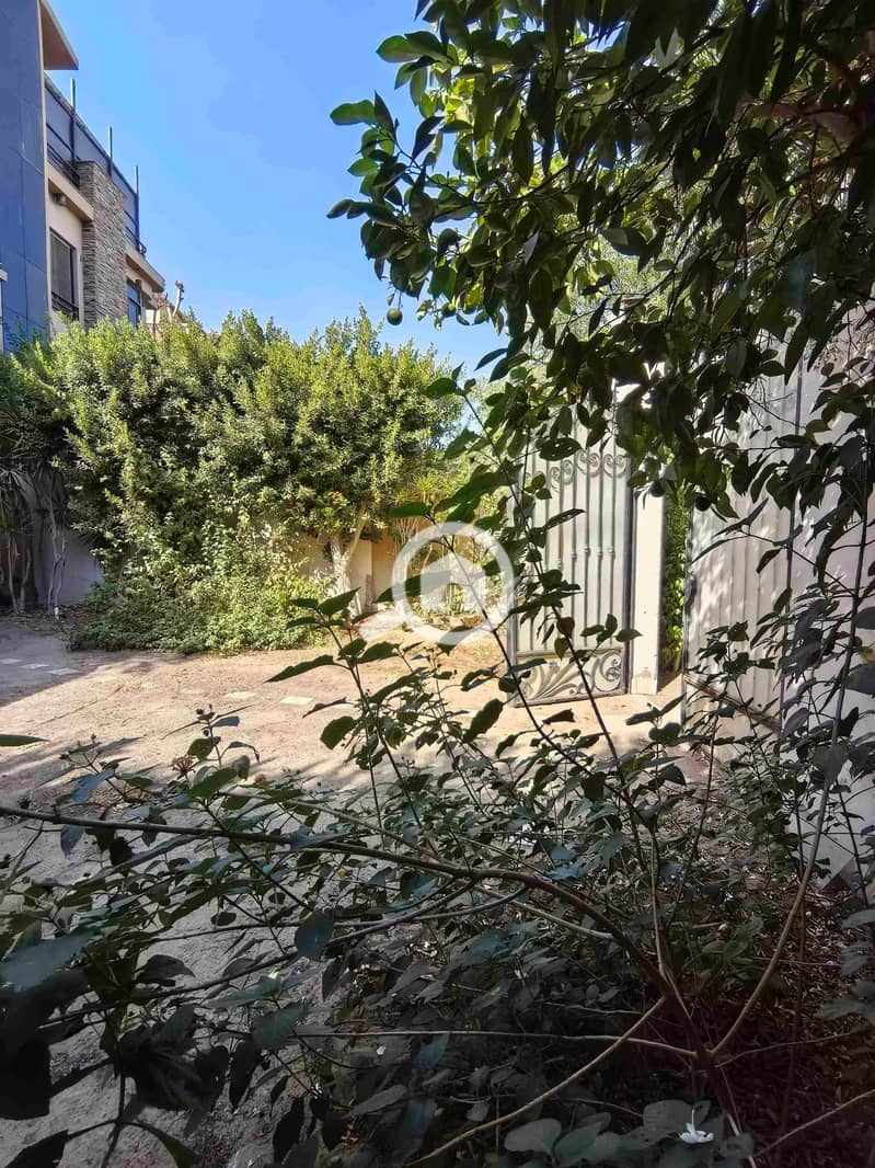 4 IMG_20251024_142935. jpg