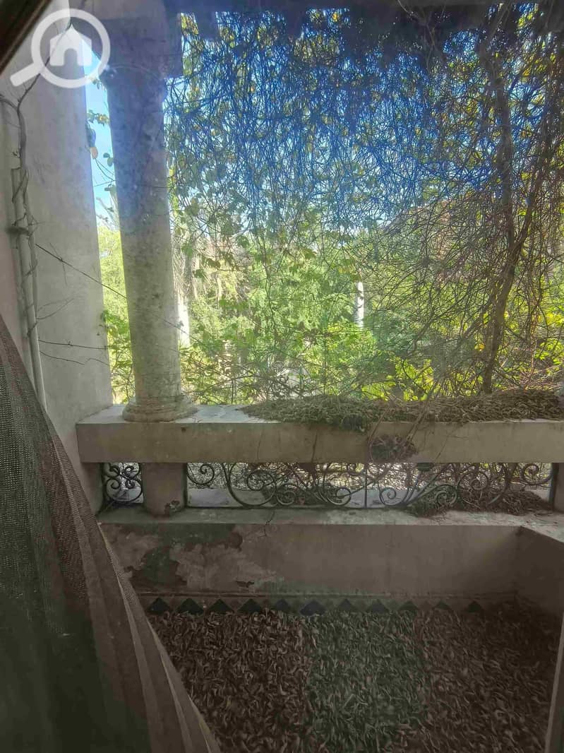 15 IMG_20251024_142613. jpg