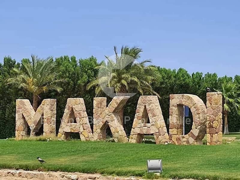 5 IMG-20251022-WA0035. jpg