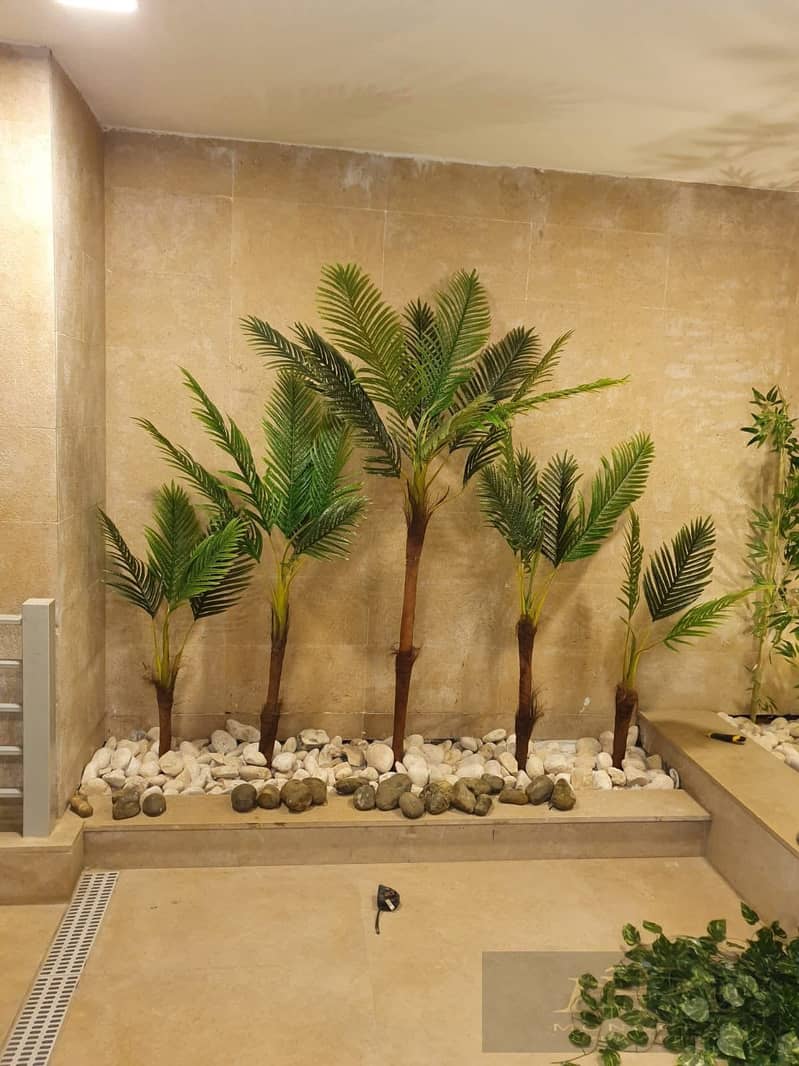 4 d9157d76-9d1b-41b0-b779-72eb7e6e25e7. jpg