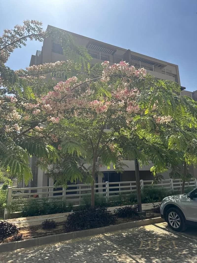 5 69f4ba5c-6075-49c0-817e-217a39abd65f. jpg