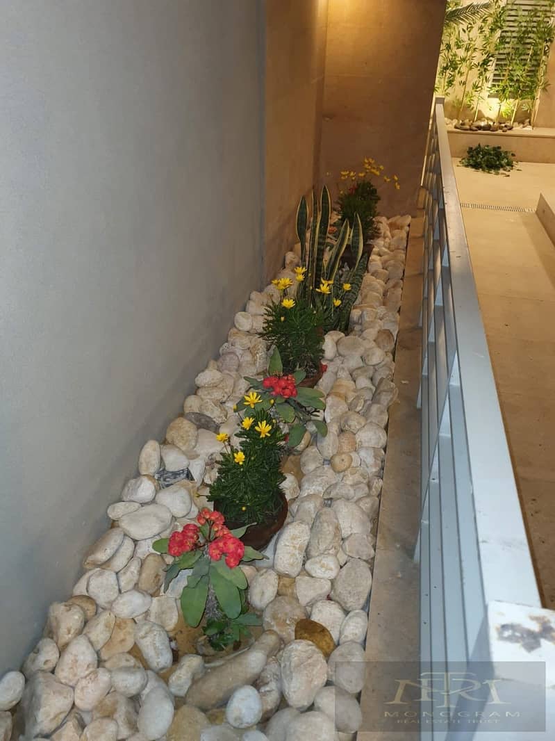 11 cb829aa9-ed33-4fba-be44-ee4cc3bc3eab. jpg