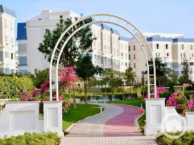 15 120269236_178753527161367_281429398360518019_n. jpg