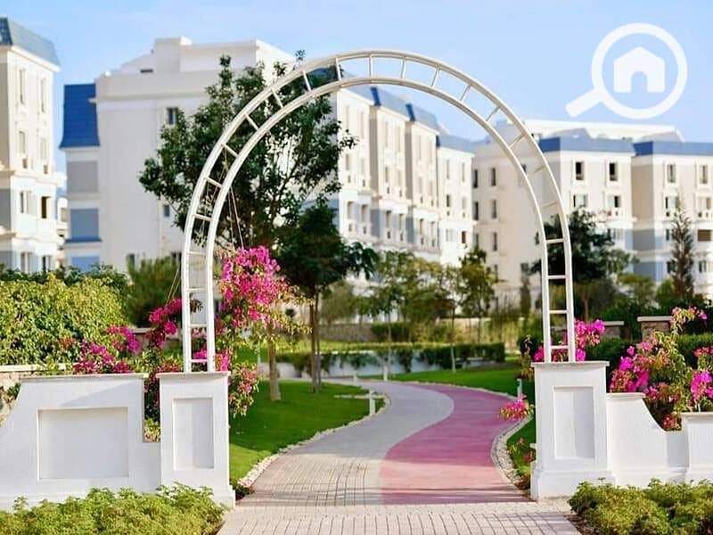 14 120269236_178753527161367_281429398360518019_n. jpg