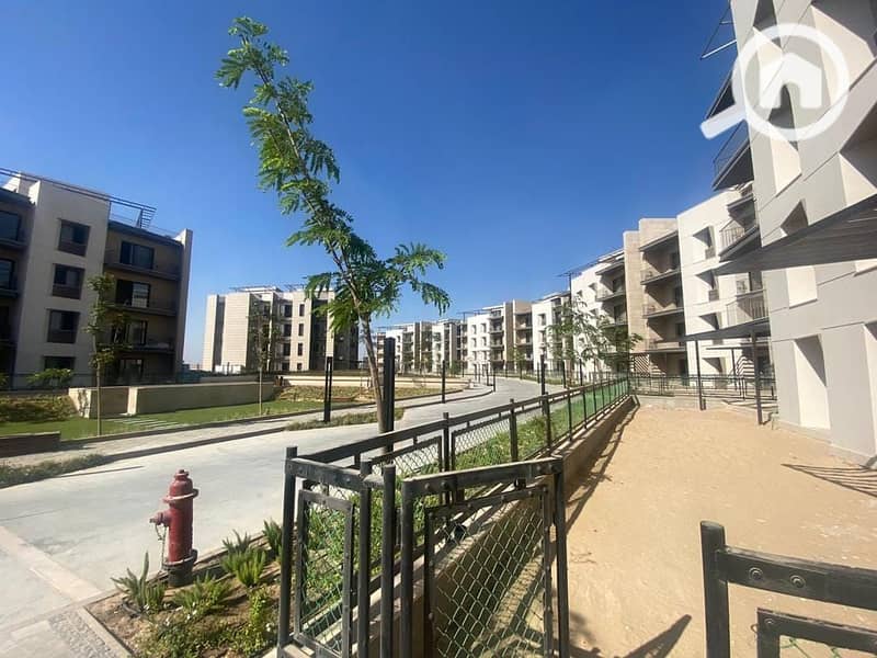 6 299324387_1249925165547526_1529207303062712079_n. jpg