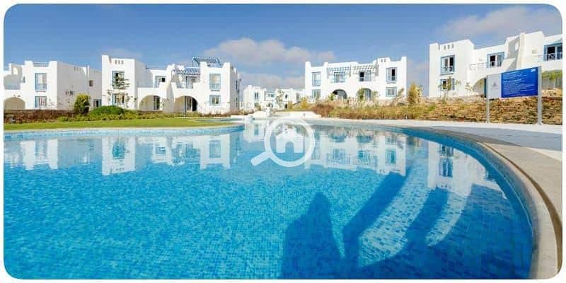 4 76ce5af4-dc8c-4cda-8037-c9187a4cb76a. jpeg