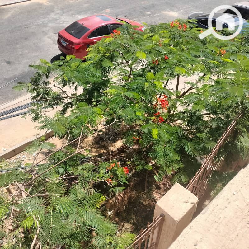 3 5b50bc6a-6384-407f-9ac9-10af44219556. jpg