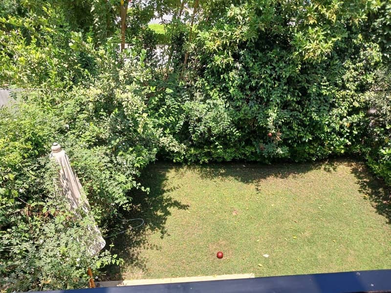 21 IMG-20251103-WA0348. jpg