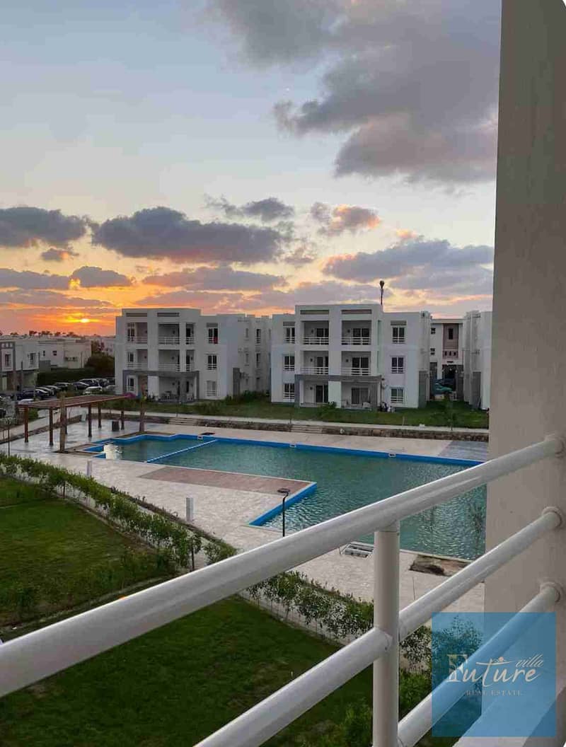 1000007661. jpg 1000007661. jpg