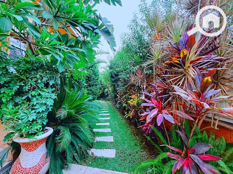 2 IMG-20251103-WA0074. jpg