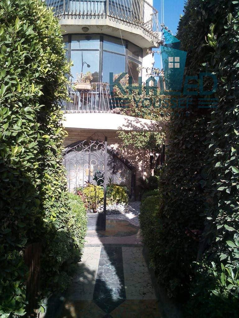 2 WhatsApp Image 2025-10-19 at 11.38. 54 AM (3). jpeg