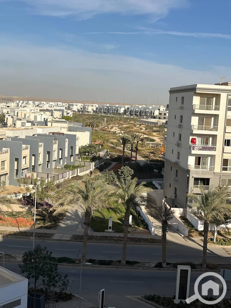 4 8d56c355-1b60-4d26-b979-7cae6697b790. jpg