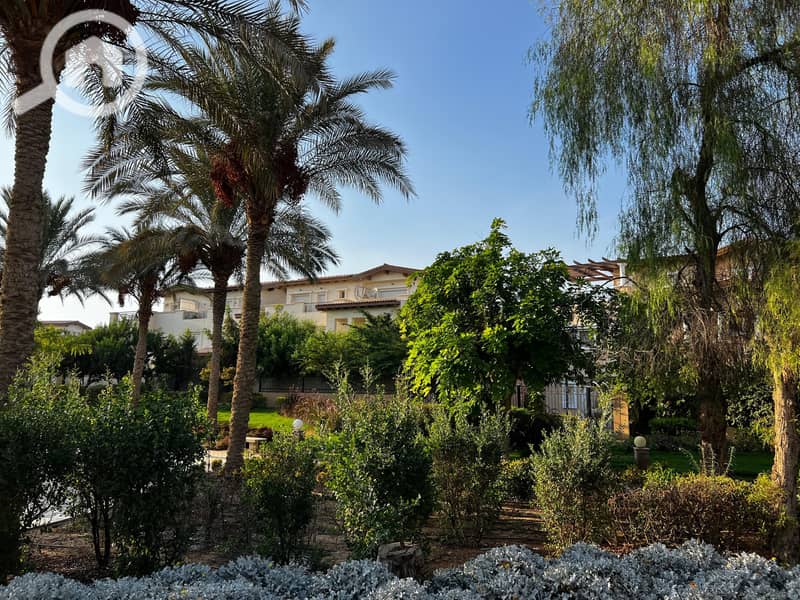 7 8660cf27-07c3-43b7-a44a-517a8fef2a17. jpg