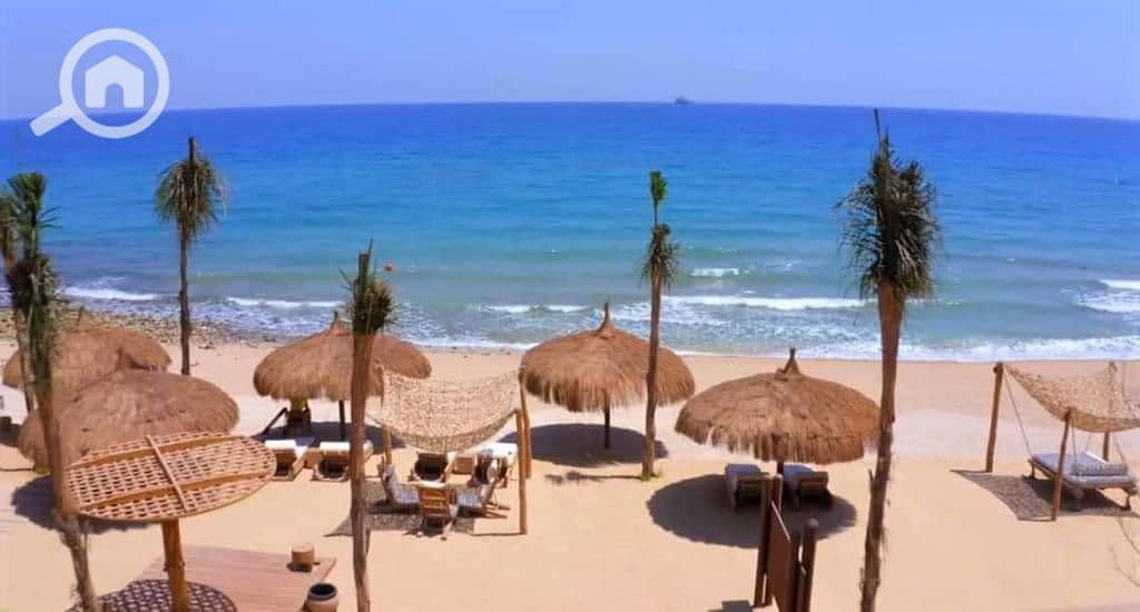 7 WhatsApp Image 2025-11-03 at 4.32. 42 AM (2). jpeg