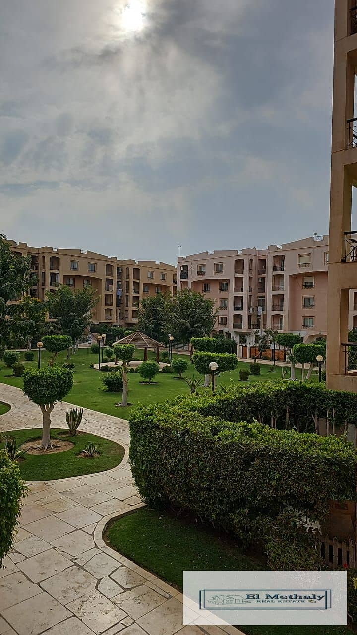 d1127dd3-e89b-42ed-ab7c-122d8027bb6a. jpg d1127dd3-e89b-42ed-ab7c-122d8027bb6a. jpg