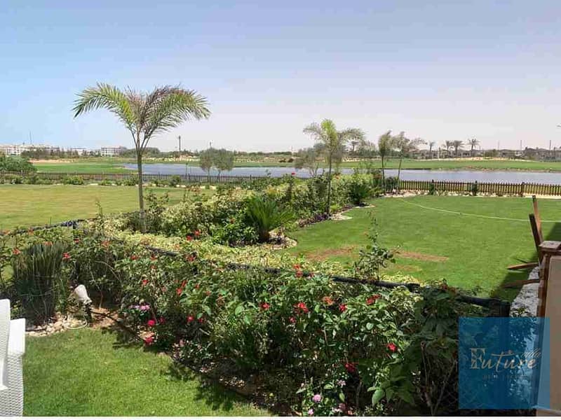 1000567595. jpg 1000567595. jpg