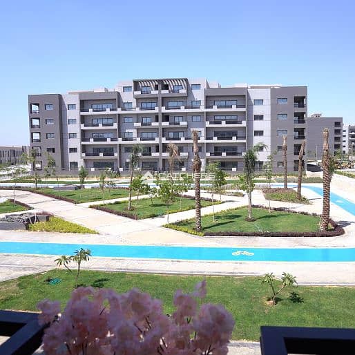 2 Stoda-website1. jpg