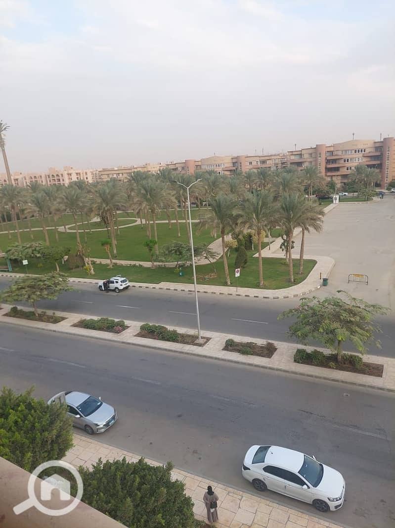 13 be15fd1e-47bc-4ad8-b0d9-2e11a57bd483. jpeg