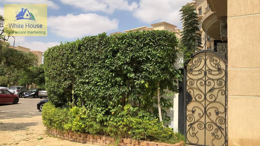 3 WhatsApp Image 2025-10-31 at 11.47. 03 PM - Copy. jpeg