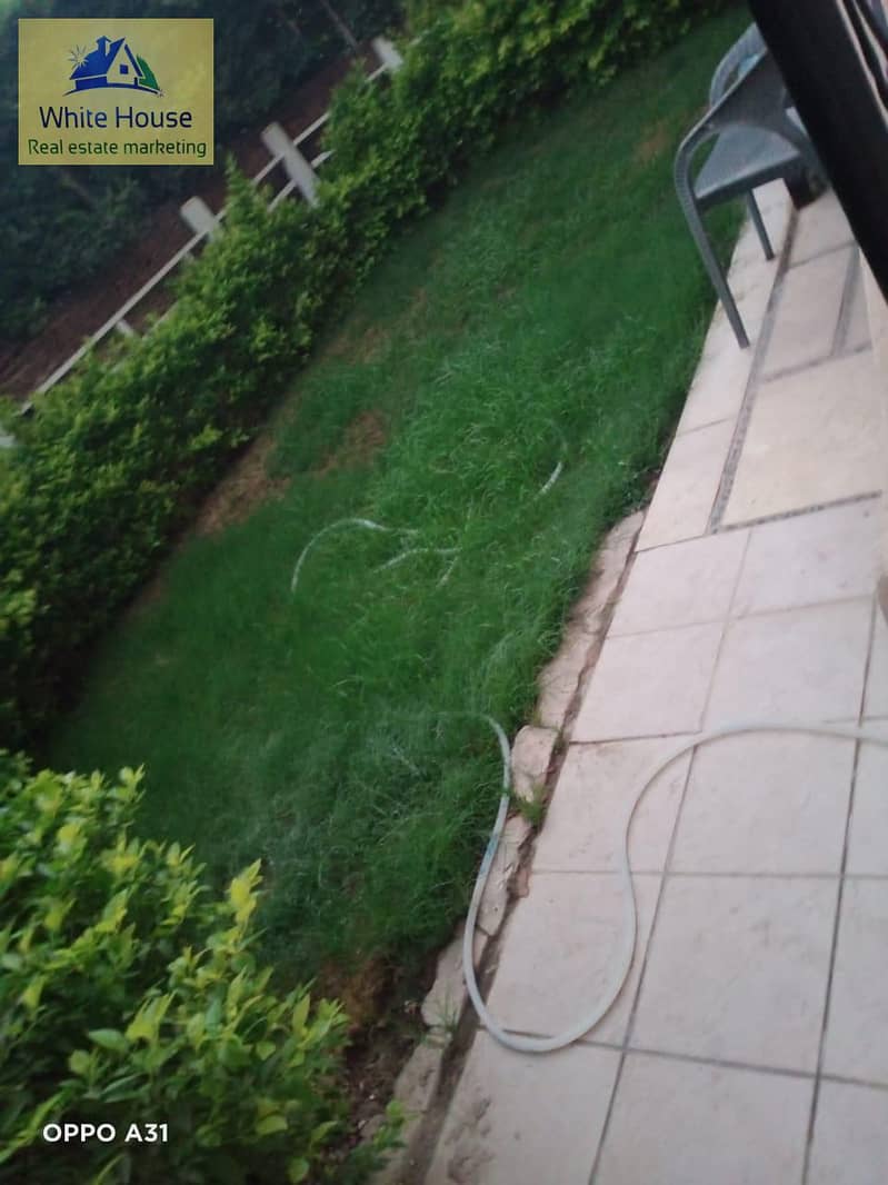 4 WhatsApp Image 2025-10-31 at 11.47. 02 PM (2) - Copy. jpeg