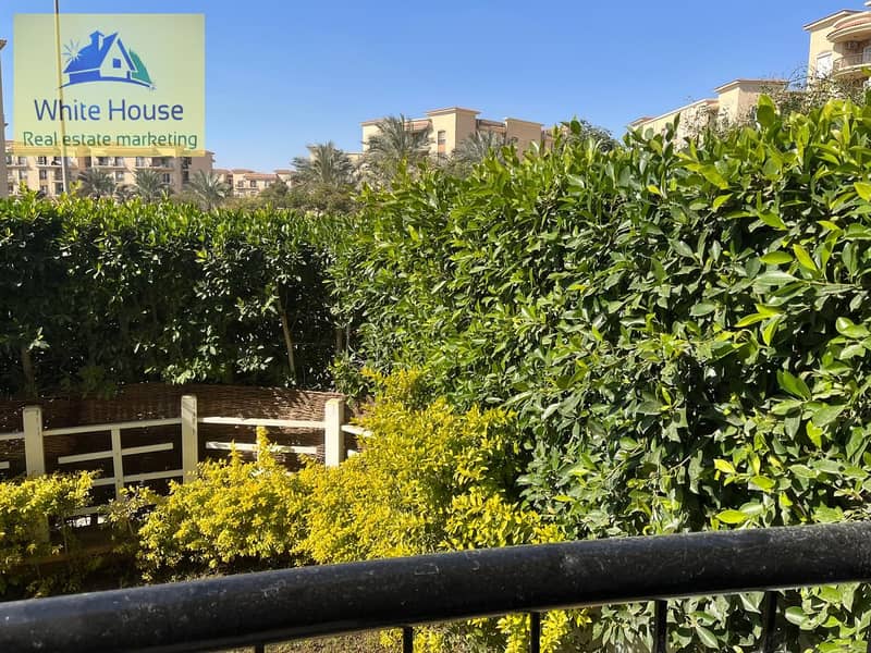 15 WhatsApp Image 2025-10-31 at 11.46. 59 PM (3). jpeg